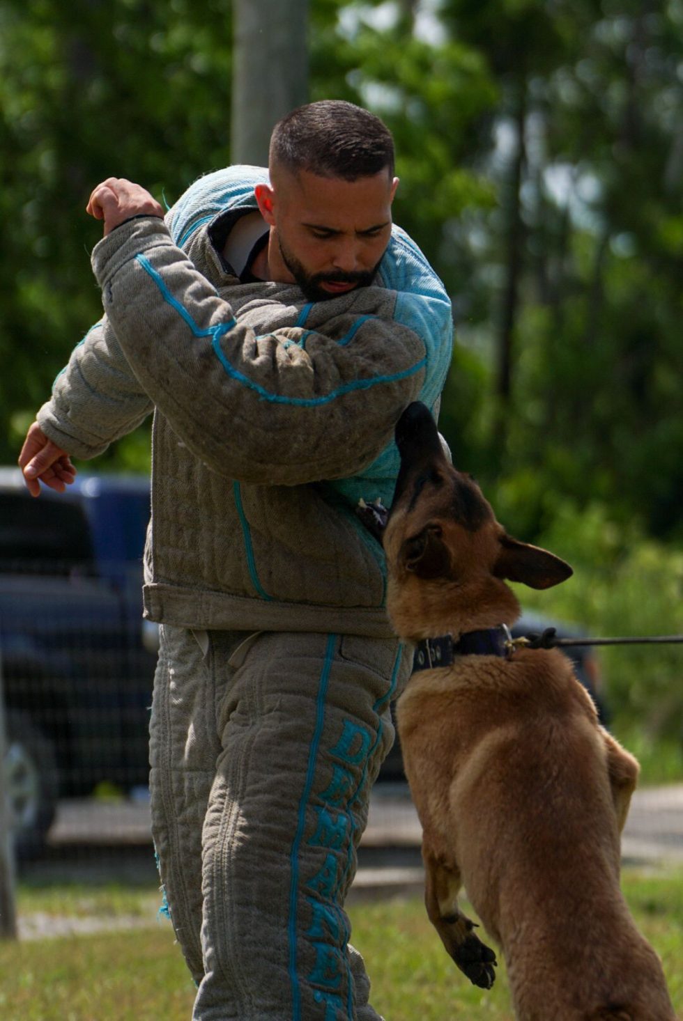 Begcommand For Dogs Command Dog Center | Precision-bred and purpose-trained dogs for law ...